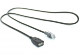 Peugeot / Citroen - Cable USB para RD43