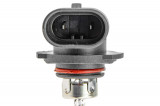 EZ-H10, bombilla halógena BULB H10 12V 42W STANDARD,