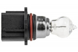EZ-P13W,BOMBILLA P13W P13W 12V 13W