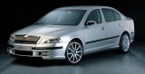 69201 Listones decorativos de la parrilla delantera - Acero inoxidable - Skoda Octavia 2