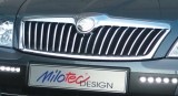  2 692 01 Tiras decorativas de la parrilla delantera - Acero inoxidable - Skoda Octavia 2 Facelift 