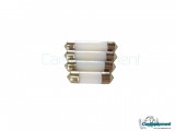 Bombilla Led c5w 31mm / 36mm / 39mm / 41mm - Blanco Frío