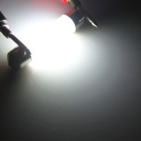 Bombilla Led c5w 31mm / 36mm / 39mm / 41mm - Blanco Frío