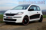 095 04 Barra de máscara delantera - ABS negro metálico, Škoda Citigo