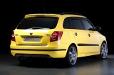  559 04 Alerón de techo Milotec, ABS - negro, Fabia II. Combi 01/08 ->