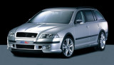 617 04 Guardabarros, ABS Negro con Raster, Škoda Octavia II
