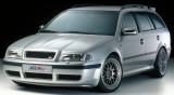 400 04 Parrilla delantera deportiva, Škoda Octavia I Facelift 